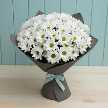 Букет цветов из:  Хризантемы в Новом Удмуртской республики