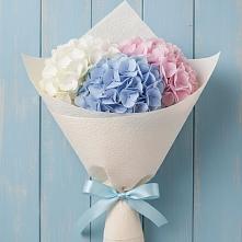 Букет цветов из:  Гортензия #REPLACE_PRED# Новом Удмуртской республики