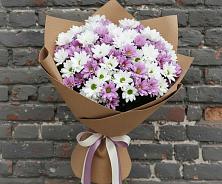 Букет цветов из:  Хризантемы #REPLACE_PRED# Новом Удмуртской республики