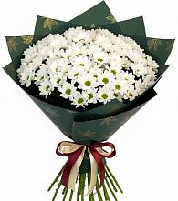 Букет цветов из:  Хризантемы в Новом Удмуртской республики