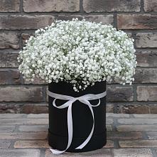 Цветочная композиция из Гипсофила в шляпной коробке в Новом Удмуртской республики
