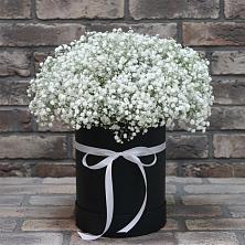 Цветочная композиция из Гипсофила в шляпной коробке в Новом Удмуртской республики